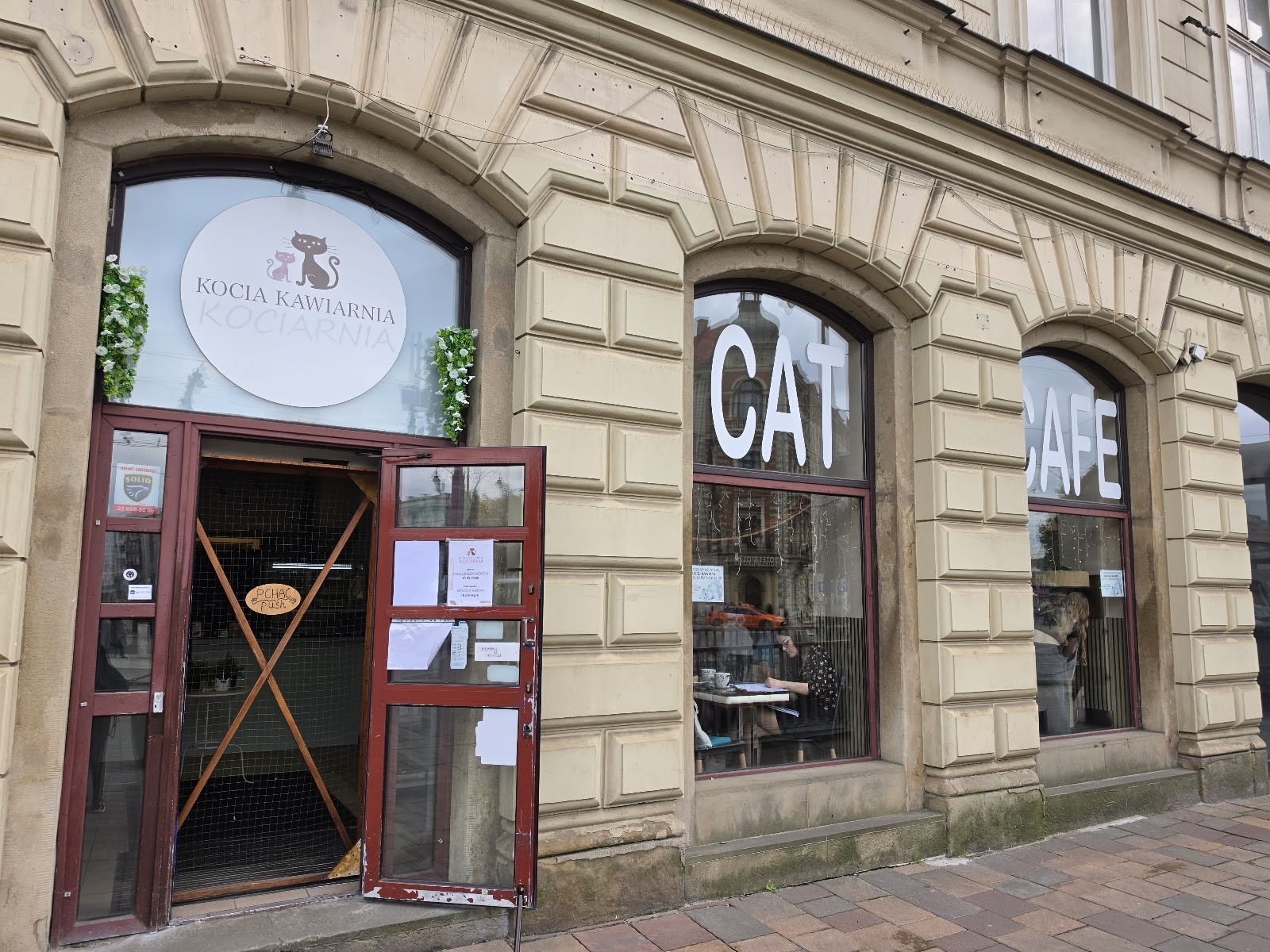 Cat Café Kociarnia: the place