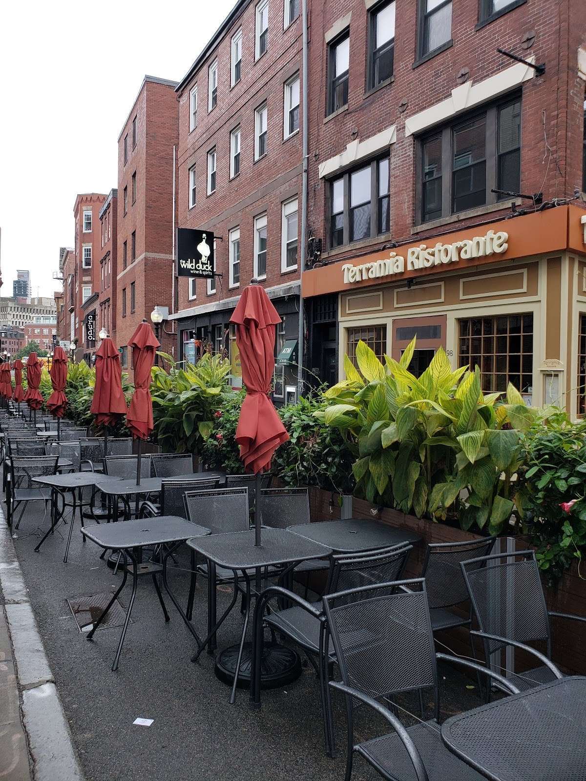 Terramia Ristorante: the place