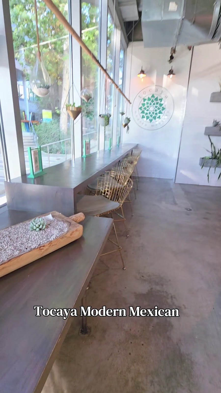 Tocaya Modern Mexican: the place