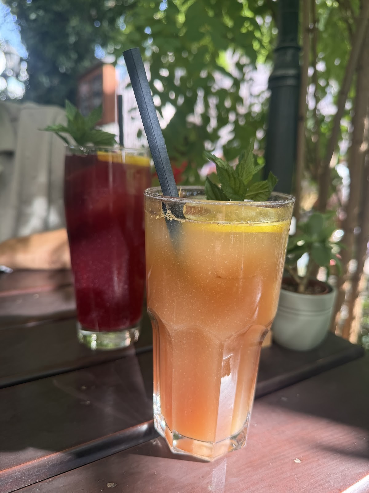 Max Pett... Das vegane Restaurant: food & drinks