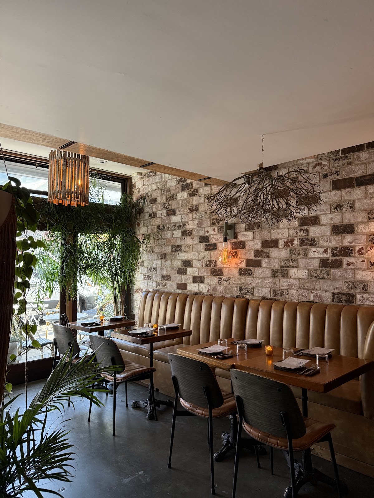 aíso: the place