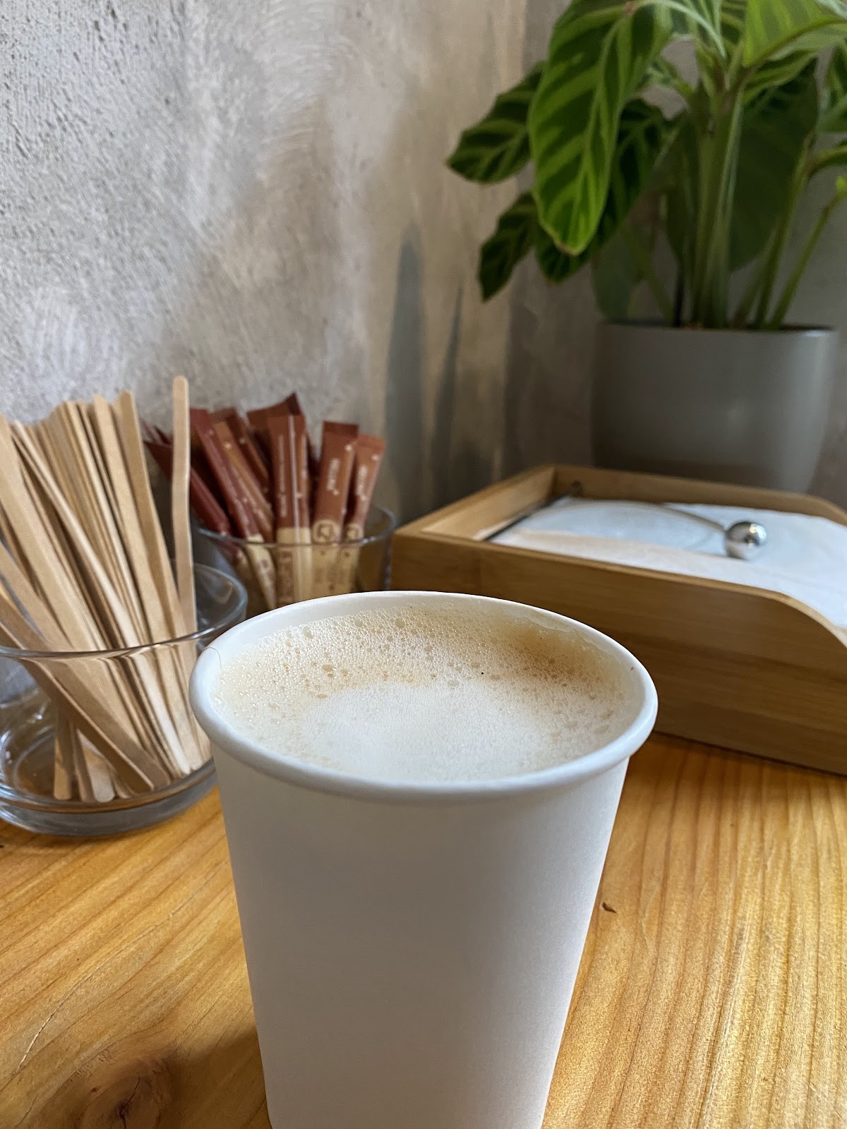 Green Scoop GmbH: food & drinks