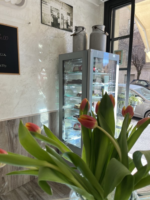 Gelateria Miami: photo 4