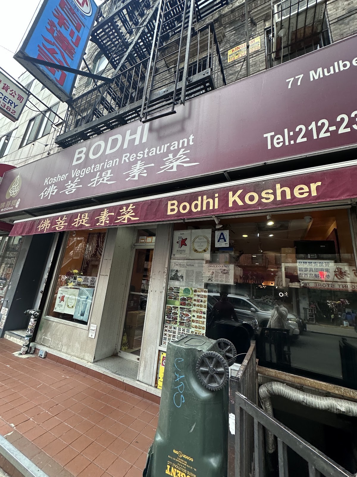 Bodhi Kosher Vegetarian Restaurant: the place