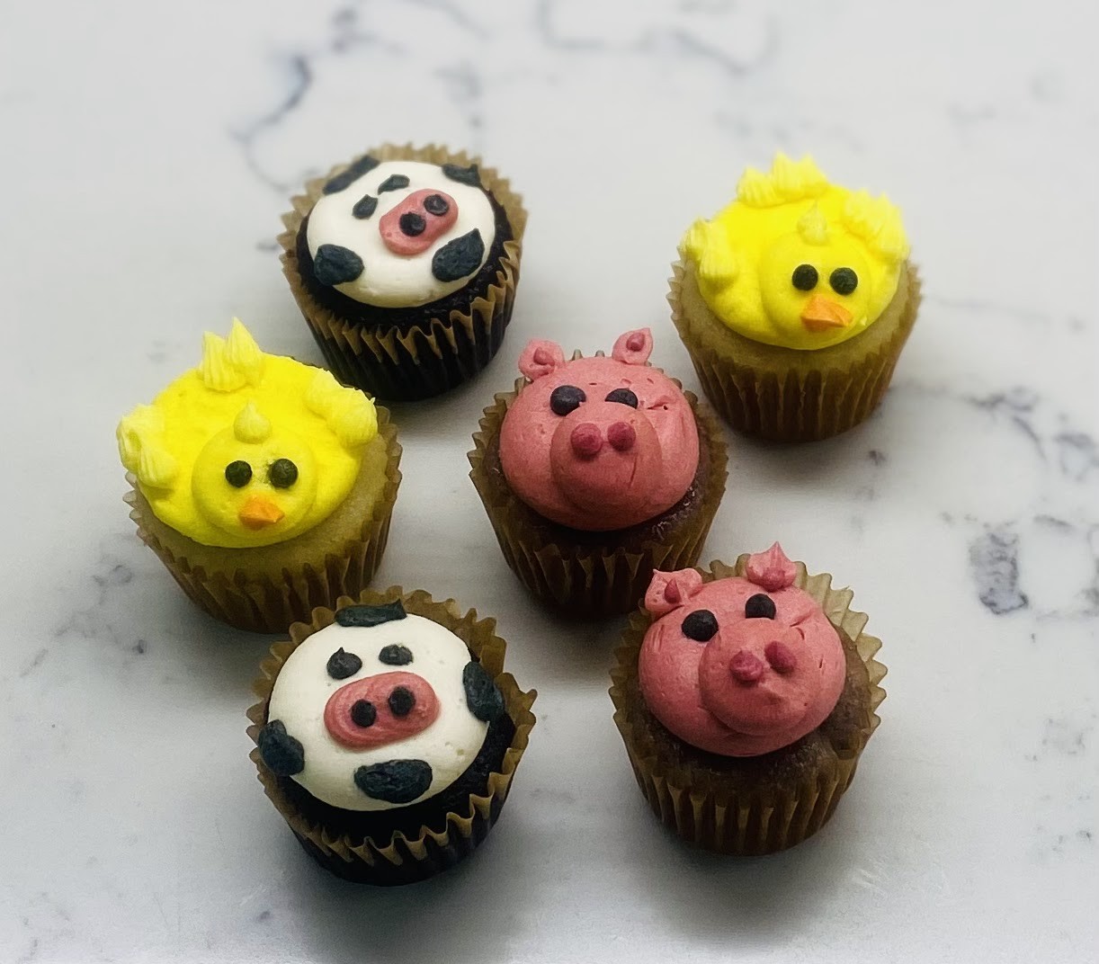 Austin Kind Cakes: food & drinks