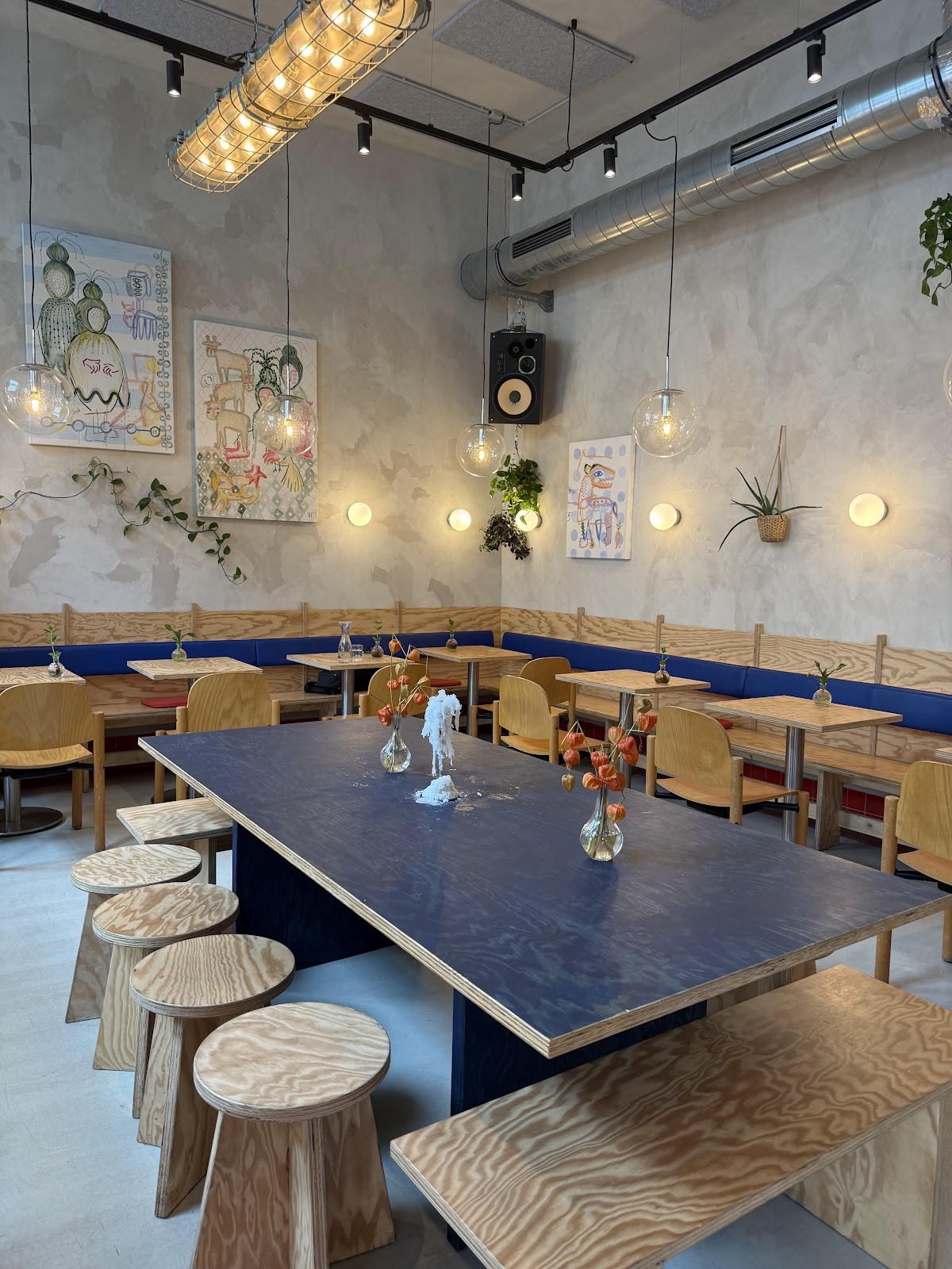SALZI: the place