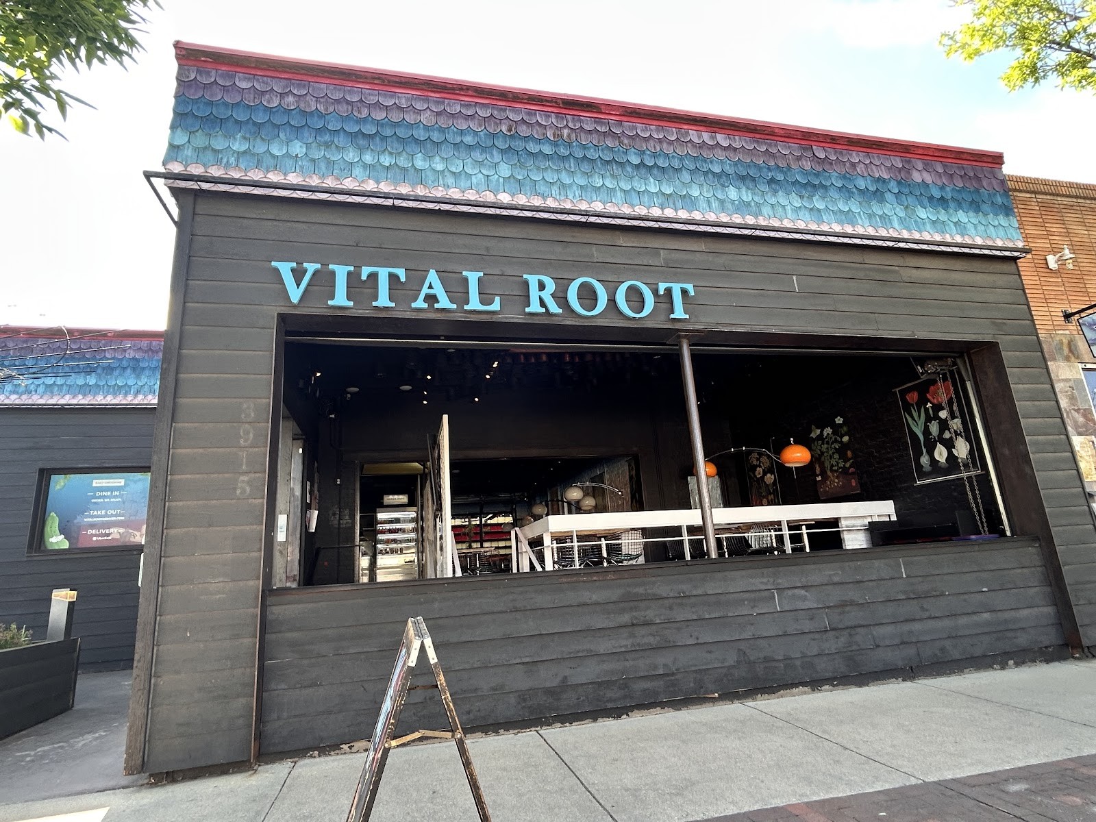 Vital Root: the place