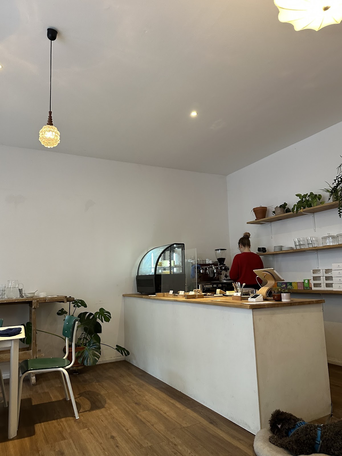 Plants & Flours: the place