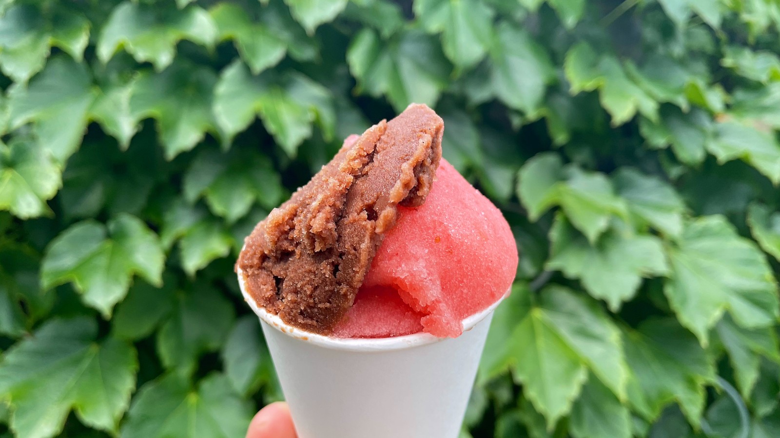 Miko's Italian Ice (Logan Square): food & drinks