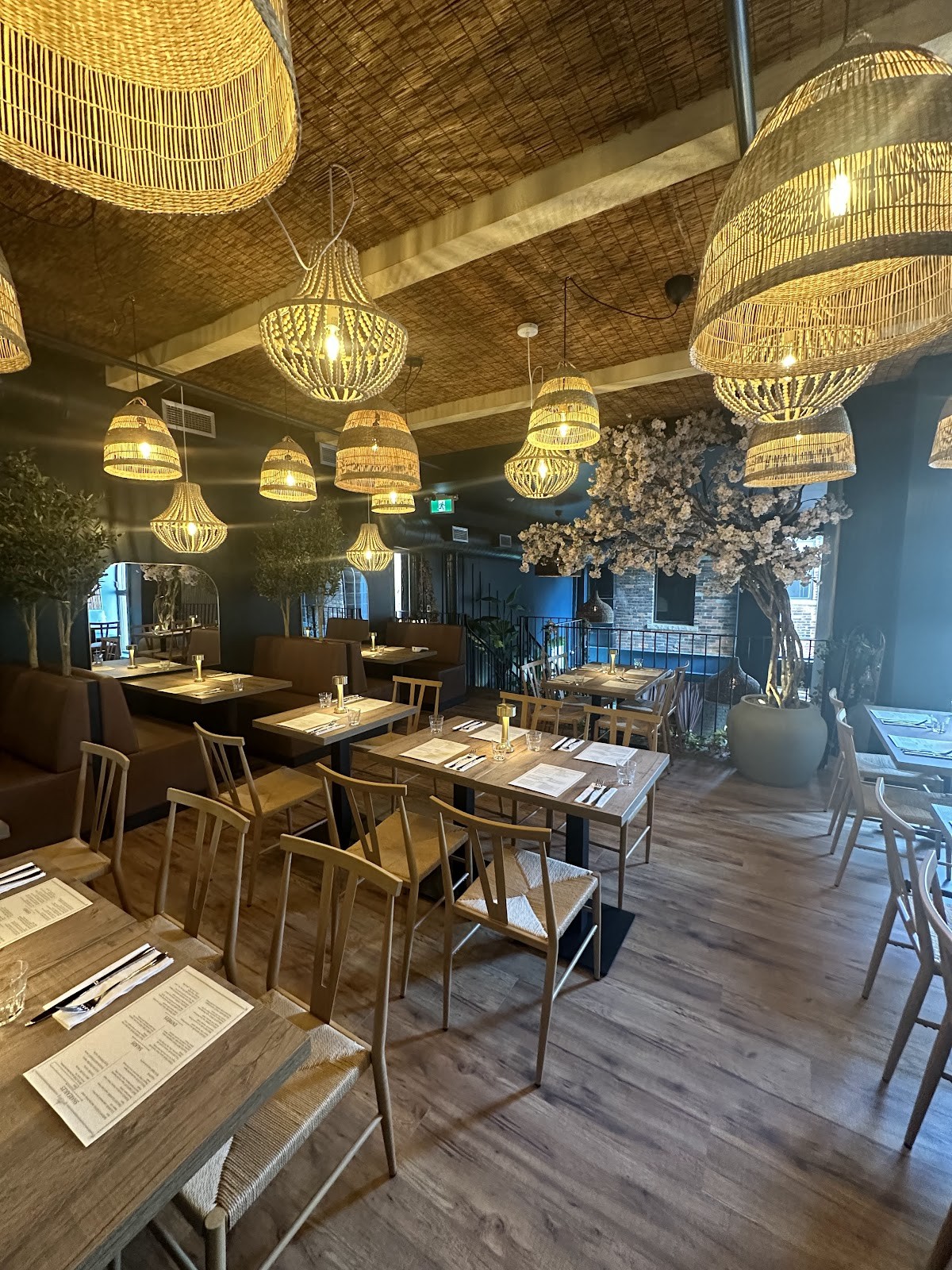 Aleria: the place