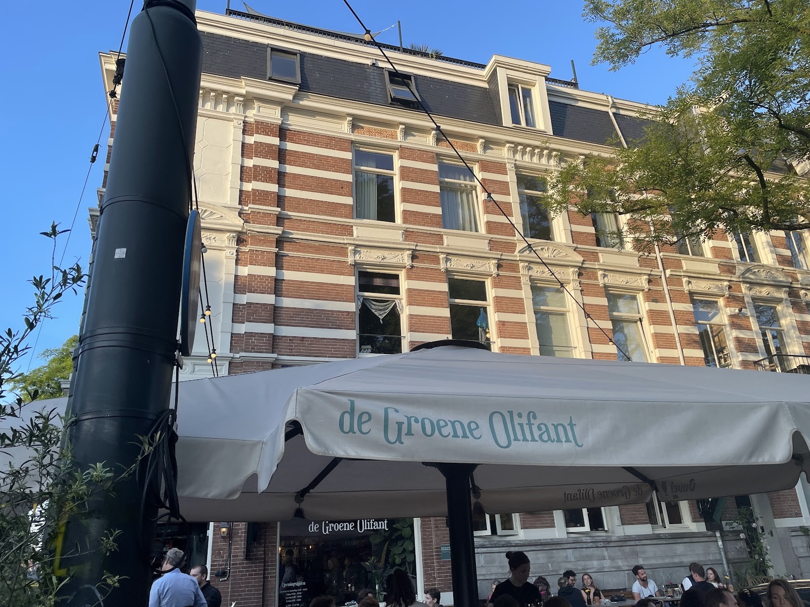 De groene olifant: the place