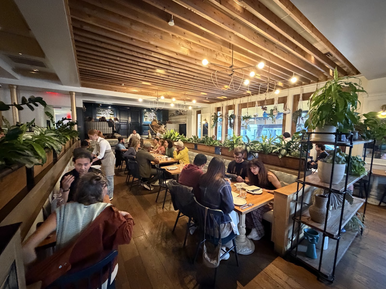 Wildseed: the place