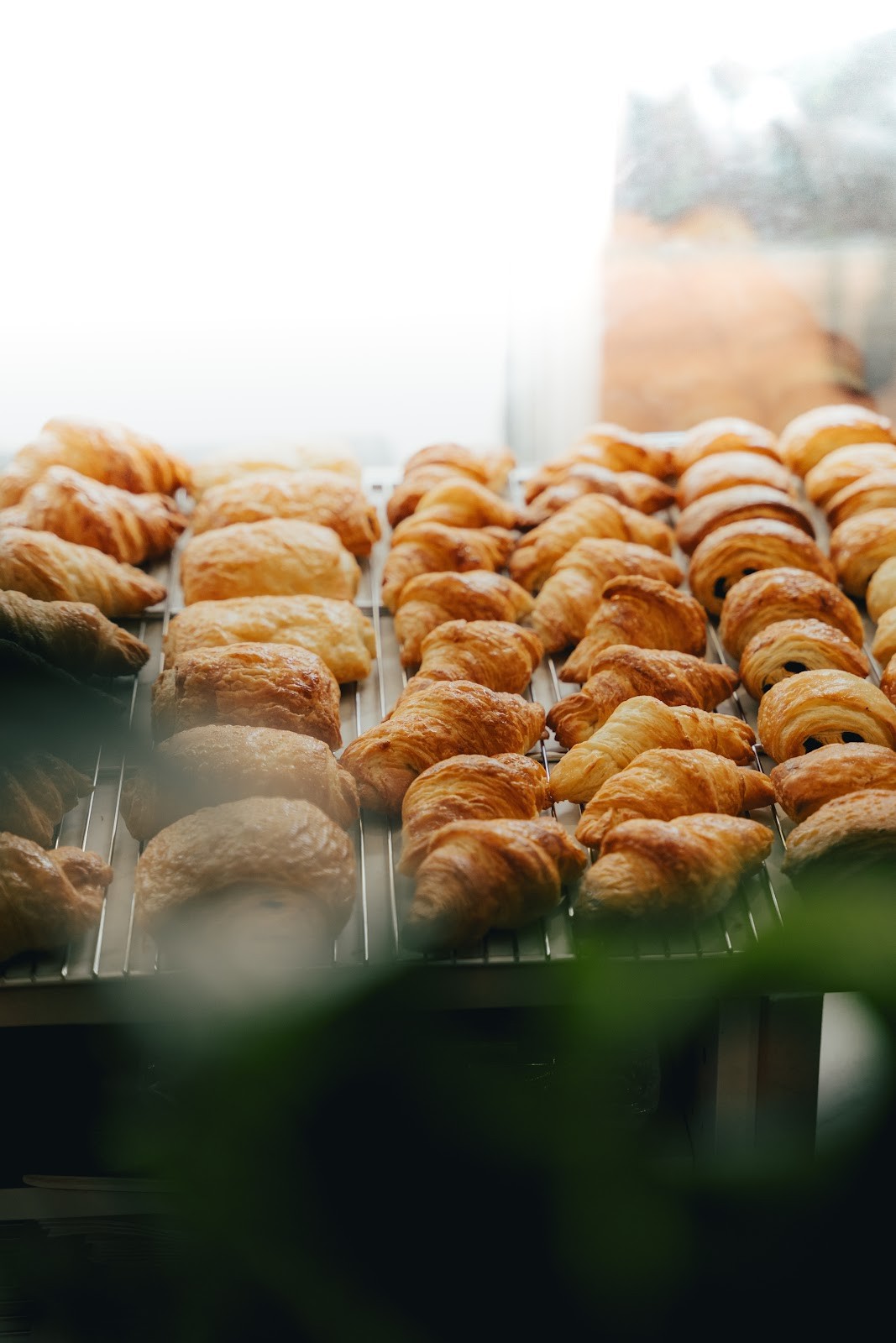 TheDorkyFrench Vegan Bakery: food & drinks