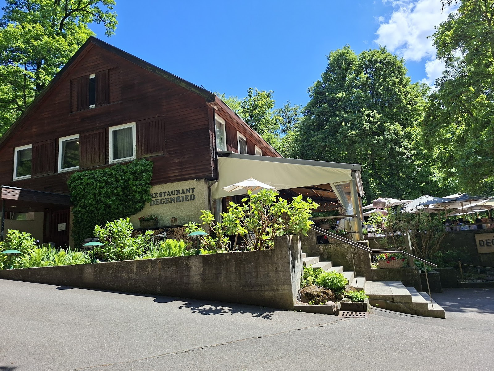 Degenried: the place
