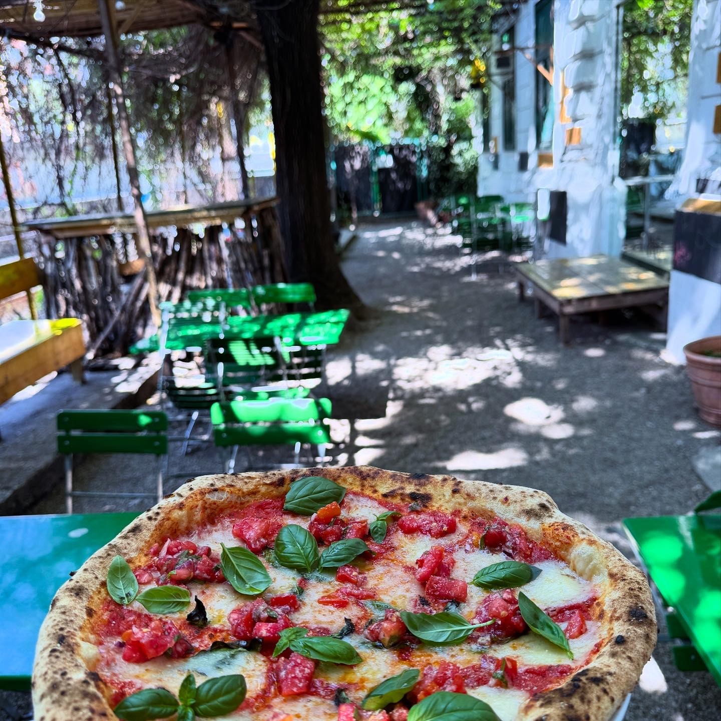 Planty Pizza: food & drinks