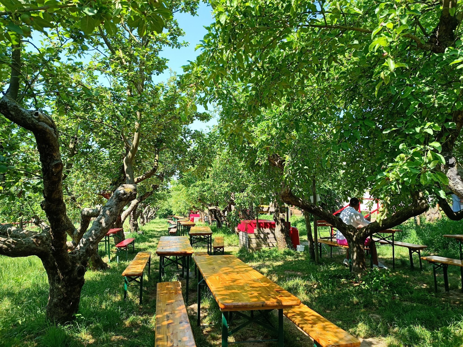 Obsthof am Steinberg: the place