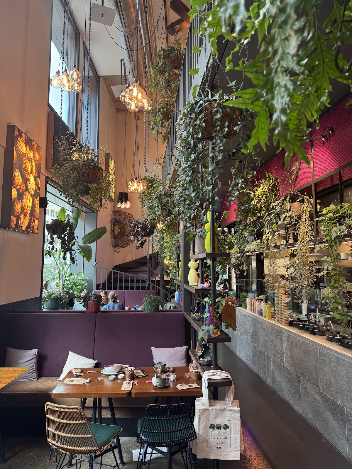 BEETNUT: the place