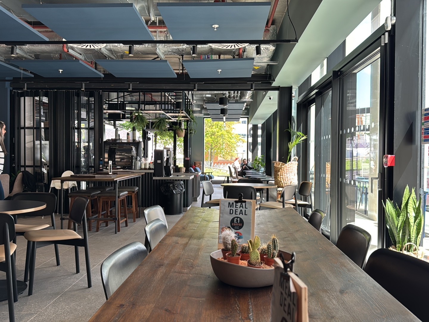 Drop Bear: the place