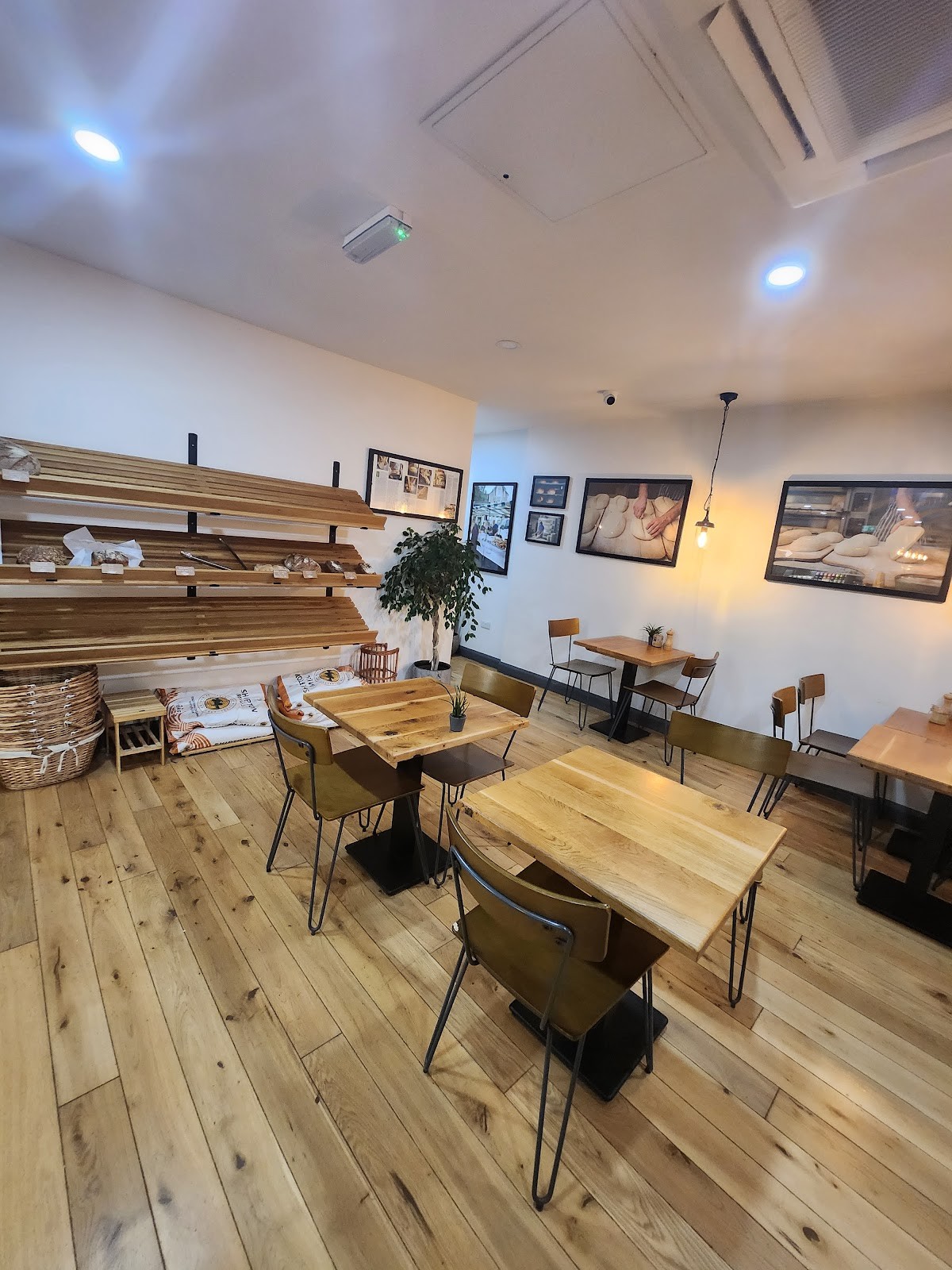 Alex Gooch Shops Ltd: the place