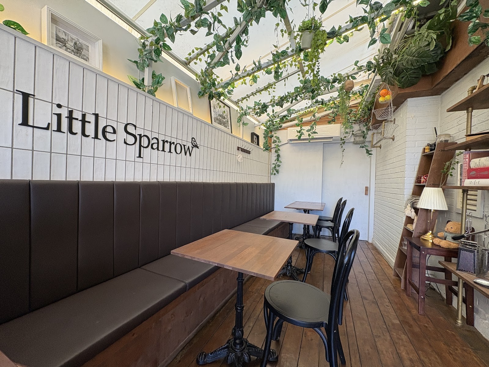 Little Sparrow: the place