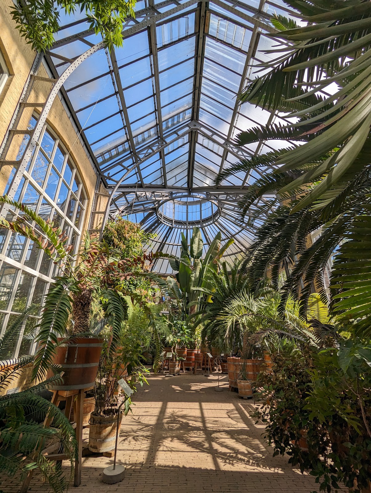 Hortus Botanicus: the place