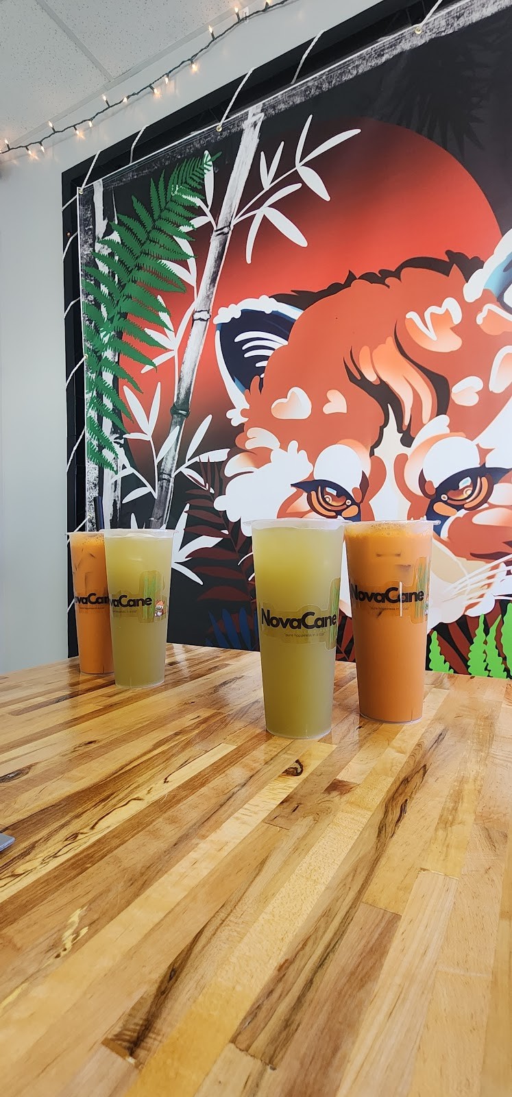 NovaCane Sugarcane Juice + Acai: the place