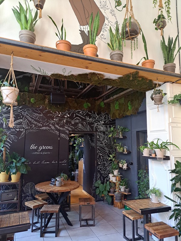 The Greens - Coffee & Plants: photo 4