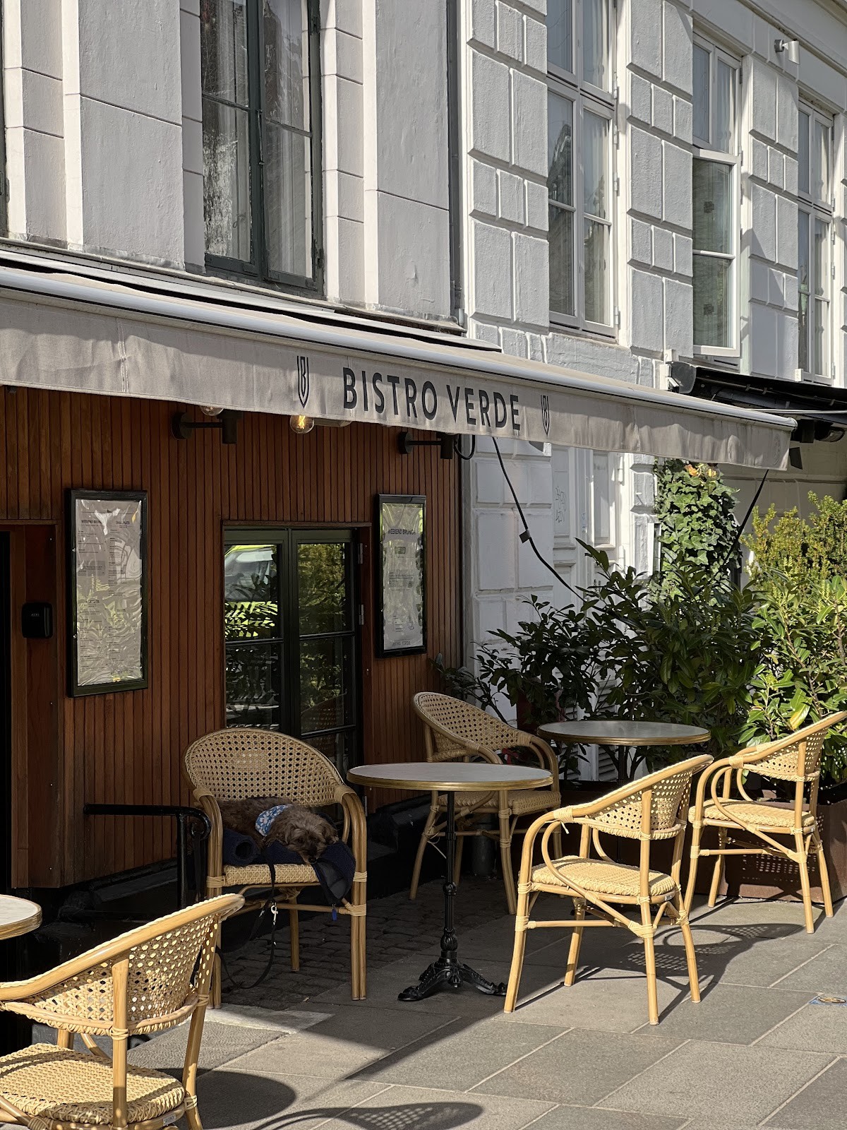Bistro Verde: the place