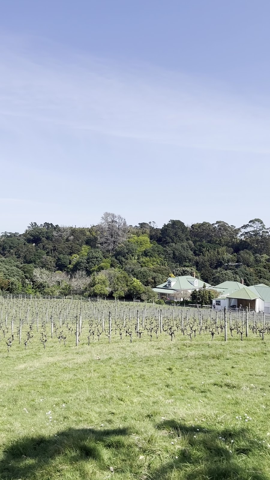 Goldie Estate: the place