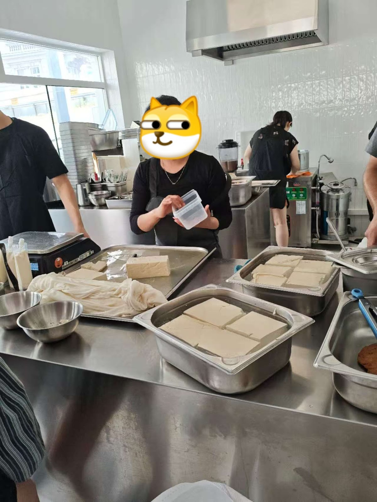 Erste Wiener Tofu Manufaktur: the place