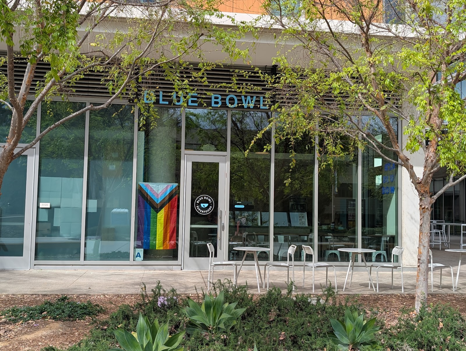 Blue Bowl - San Diego (UCSD): the place