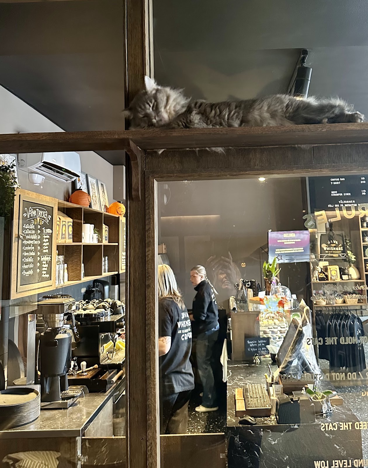 Java Whiskers: the place