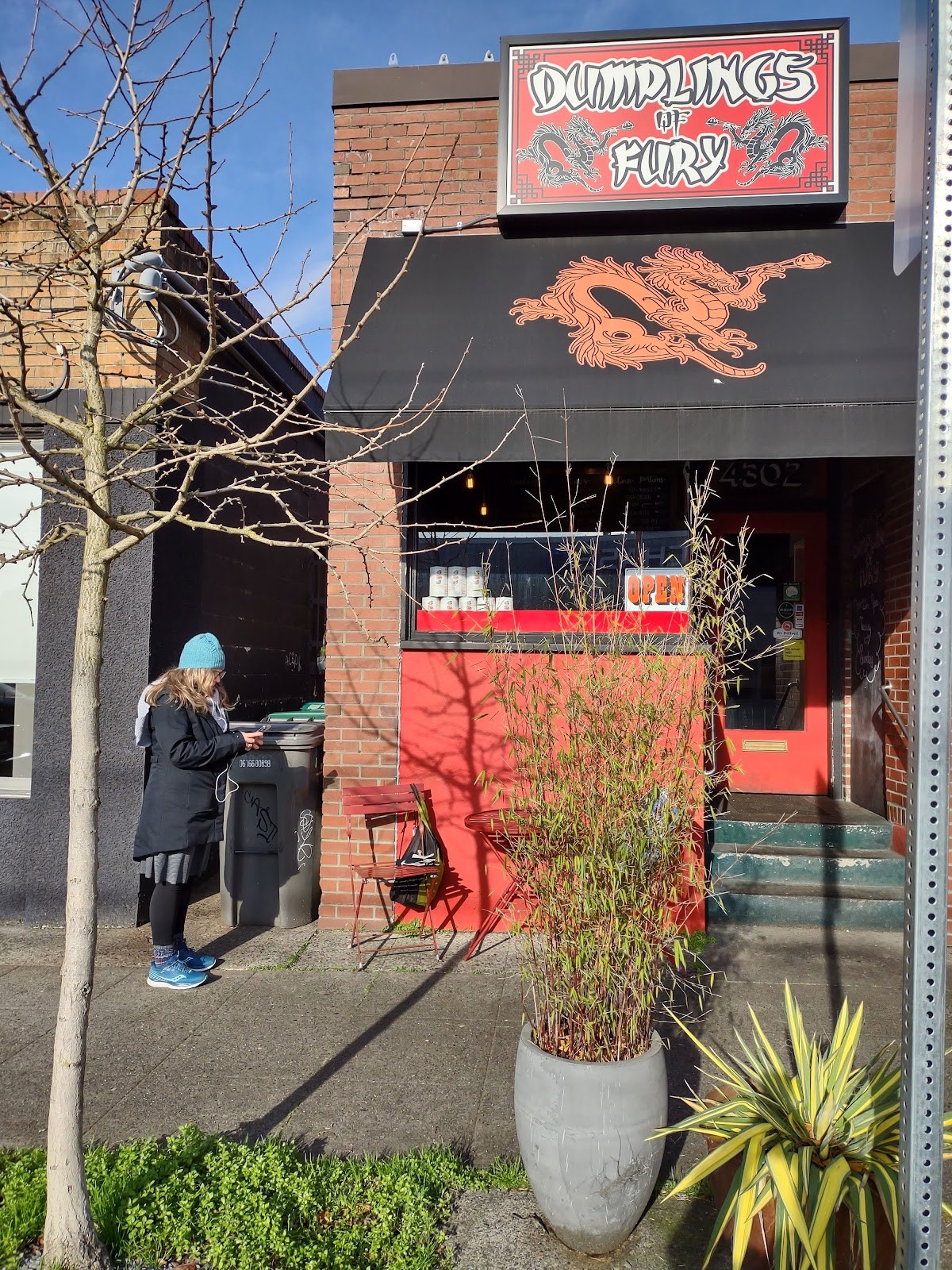 Dumplings of Fury: the place