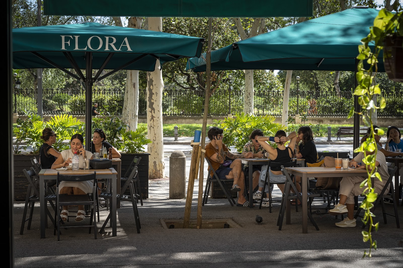 Flora Cafè: the place