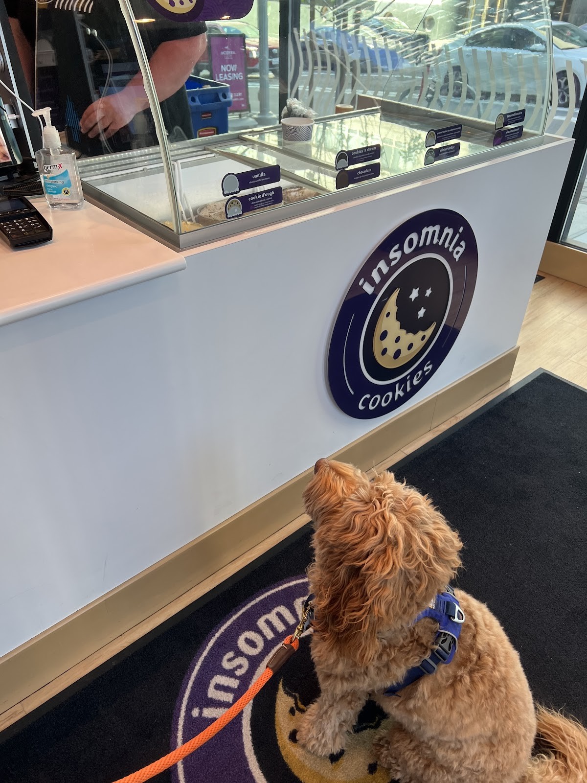 Insomnia Cookies: the place