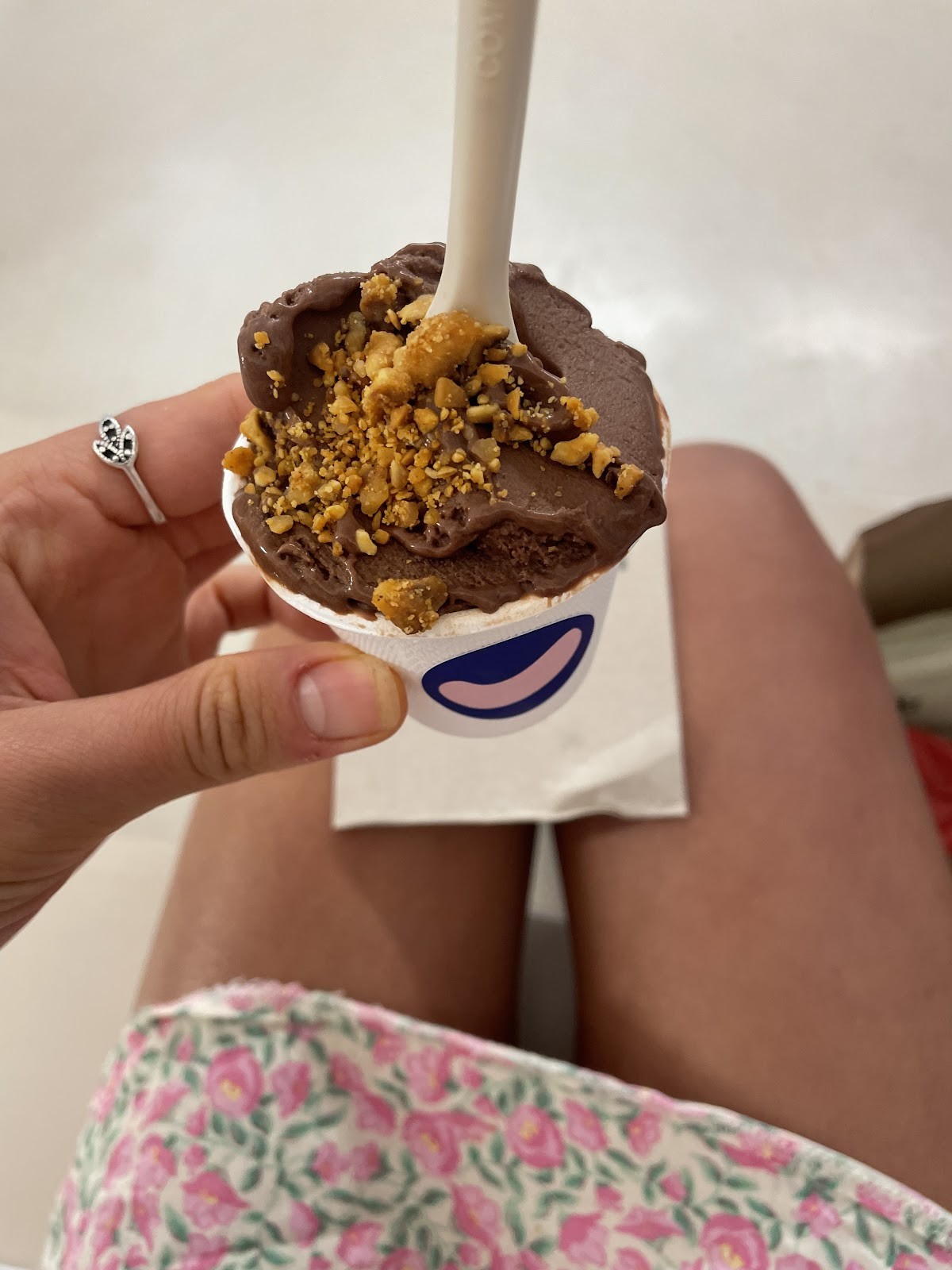 CAJÚ gelato: food & drinks