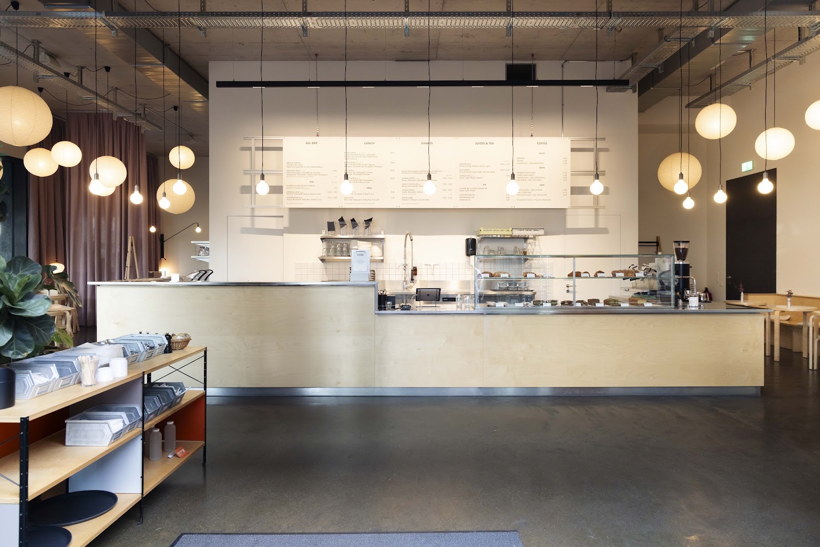 Roots: the place