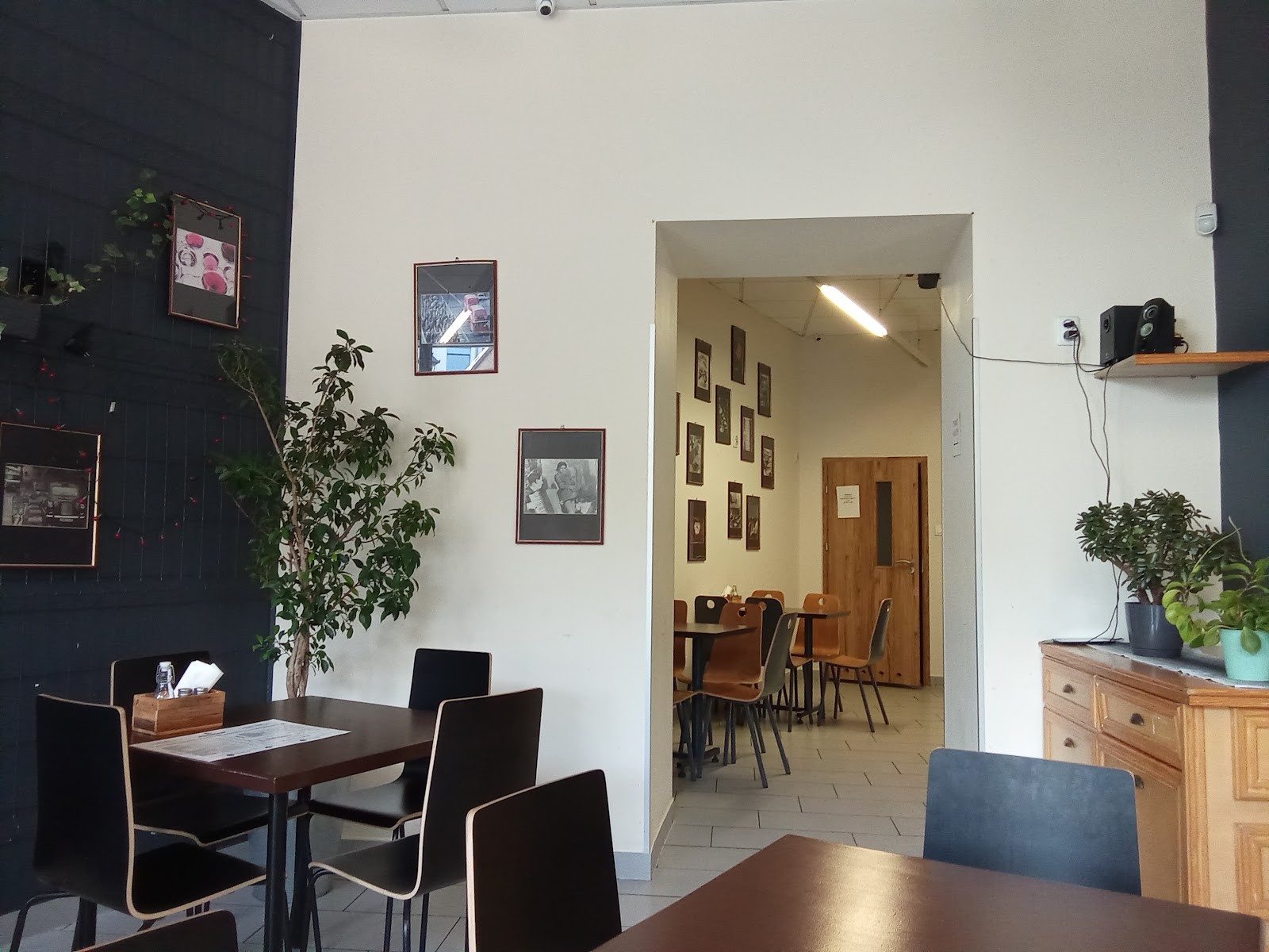 Pinsaria 22 Kopernika: the place