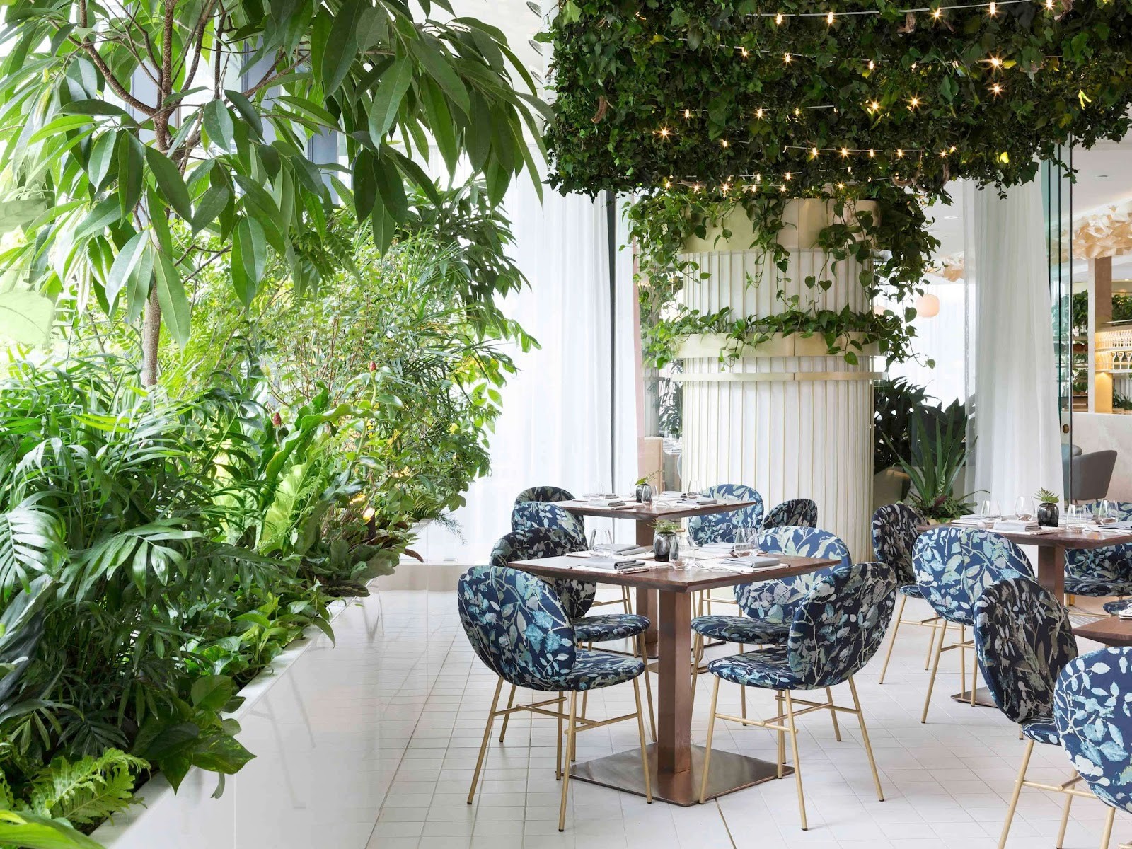 Botanist: the place