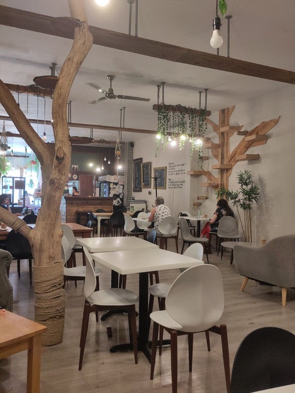 Café Chato: photo