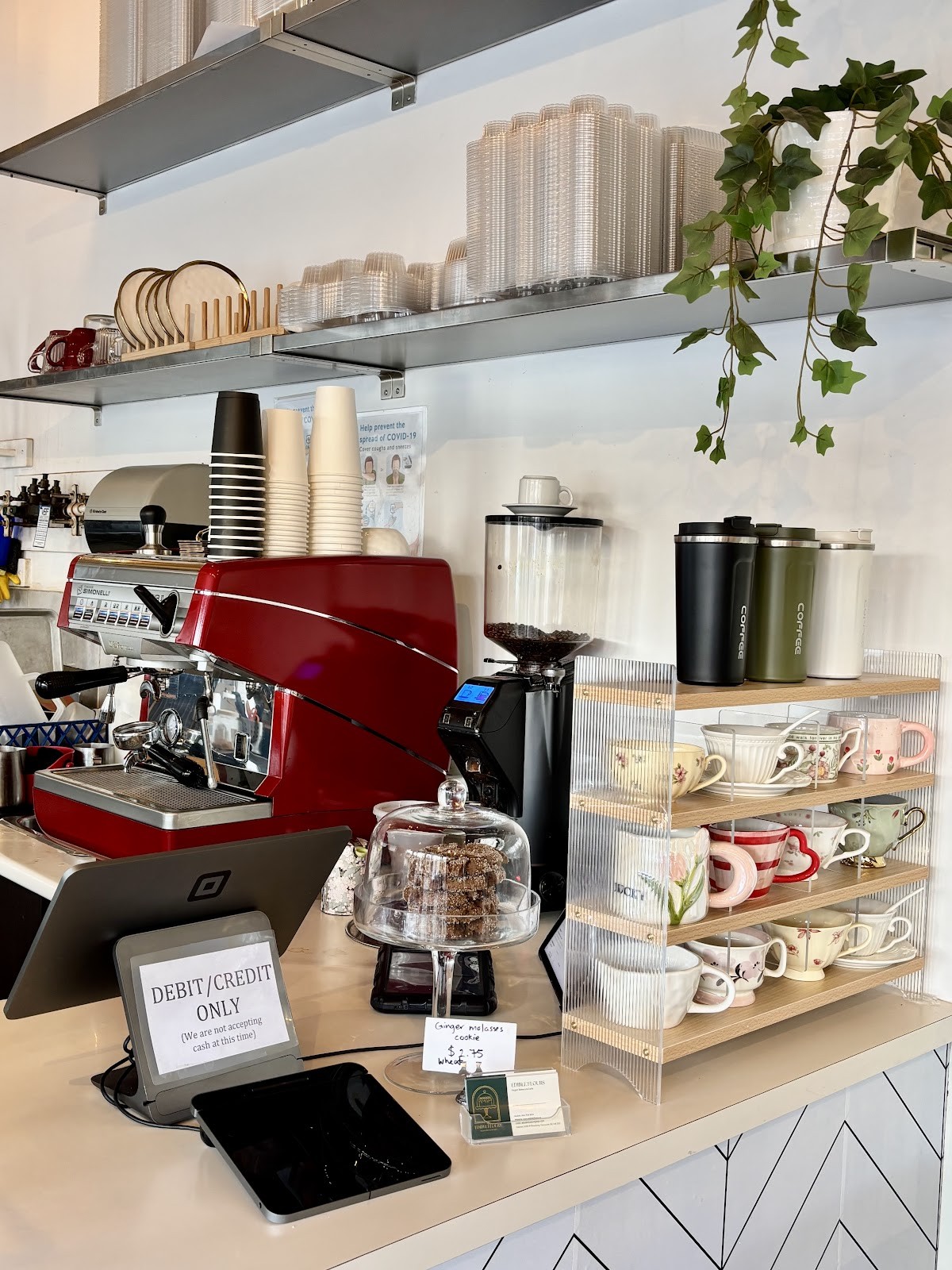 Edible Flours: the place