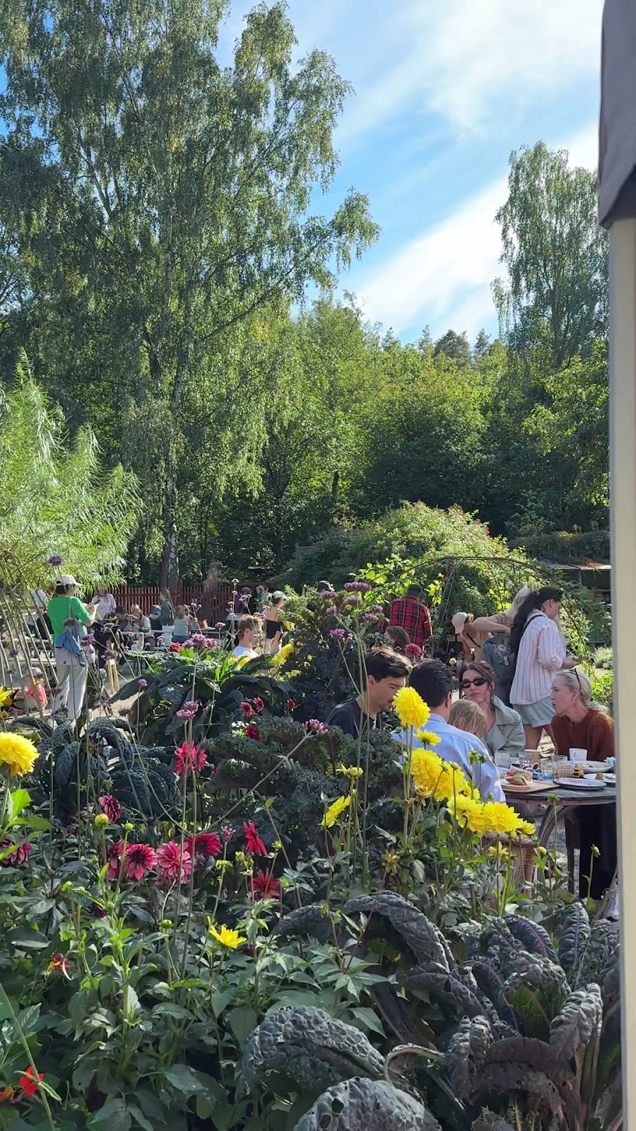 Vintervikens Trädgårdscafé: the place