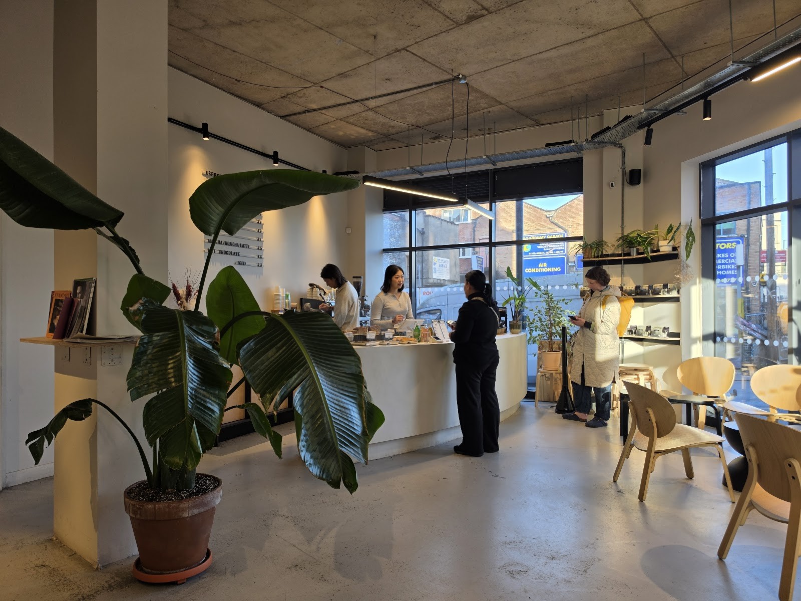 Greytone Coffee: the place