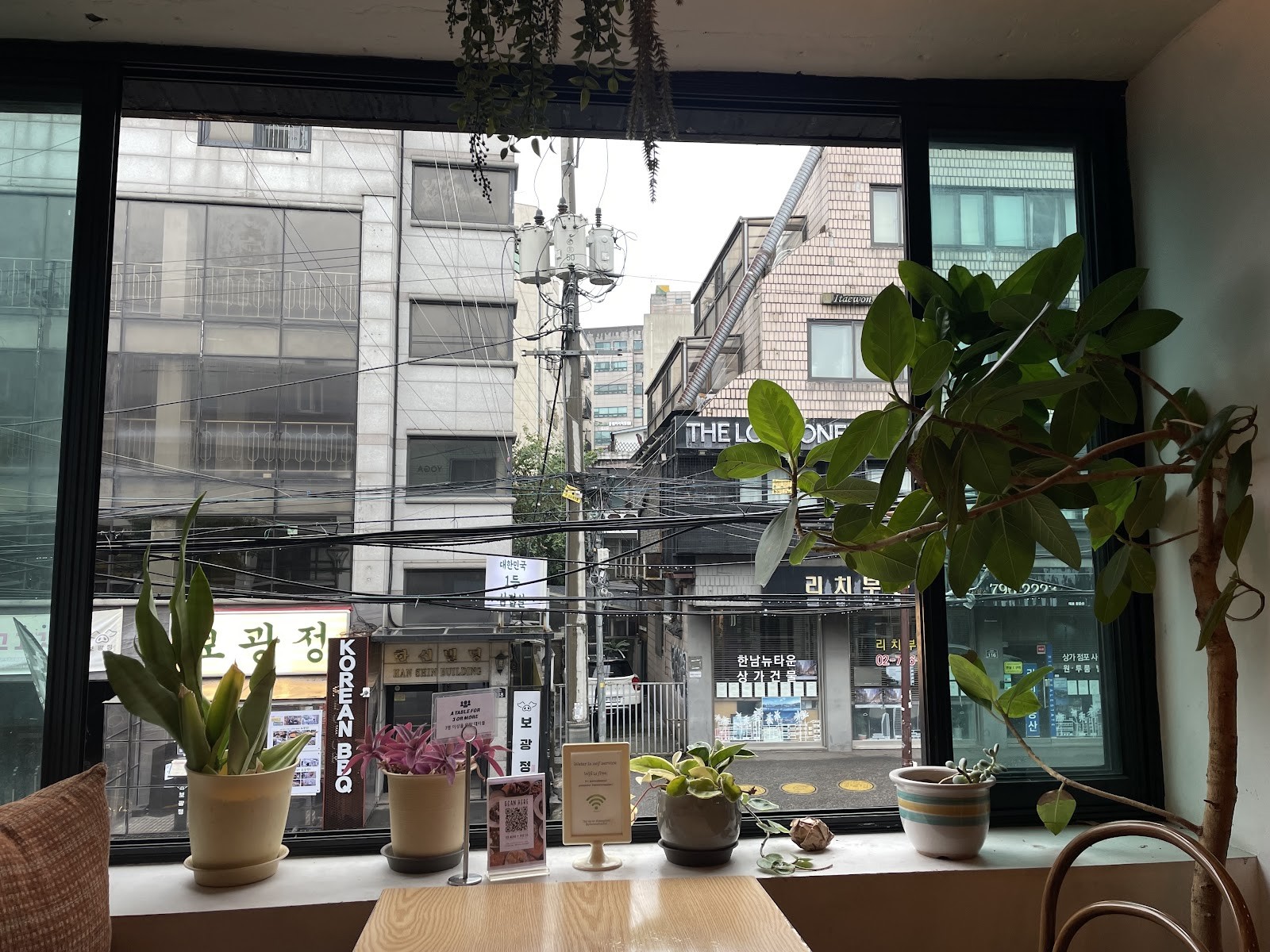 Plant Cafe Seoul (Itaewon): the place