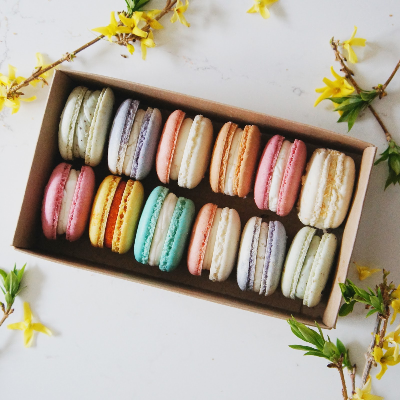 Denver Macaron: food & drinks