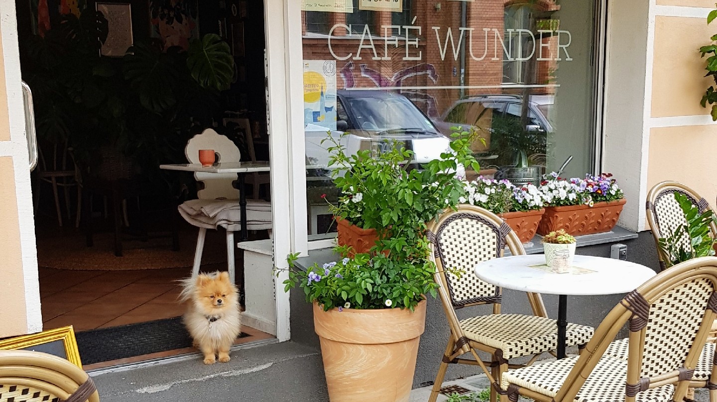Café Wunder: the place