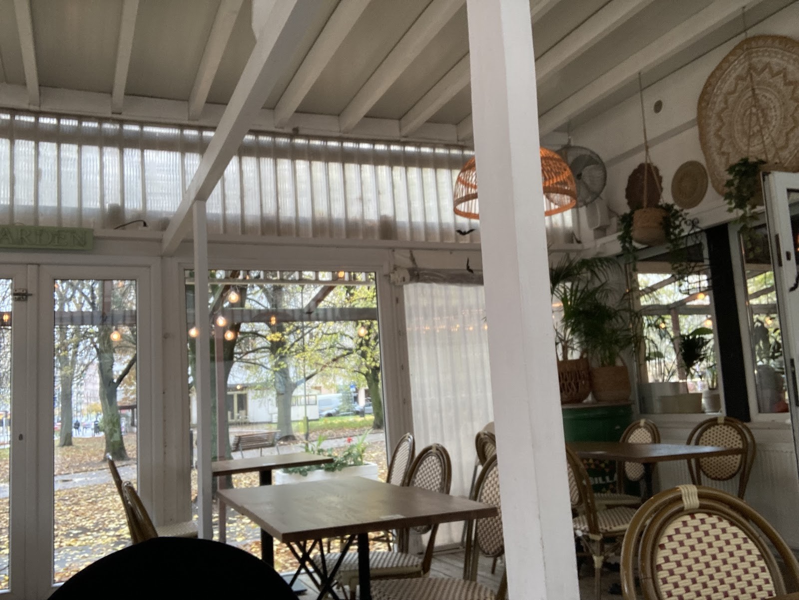 Mezze hummus & falafel: the place