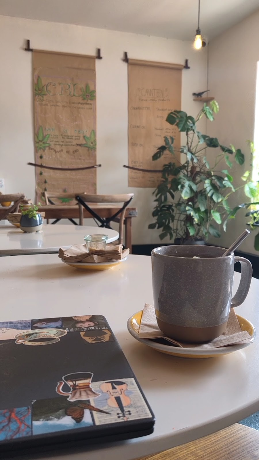 Little Collins CBD Dispensary: the place