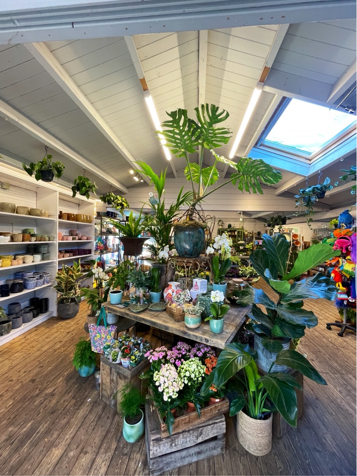 W6 Garden Centre Cafe: the place