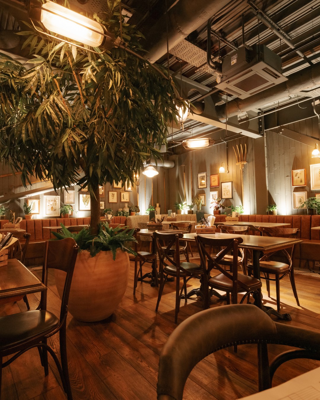 The Botanist Sheffield: the place